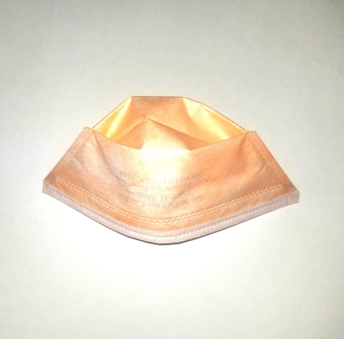 NIOSH Certified N95 Masks